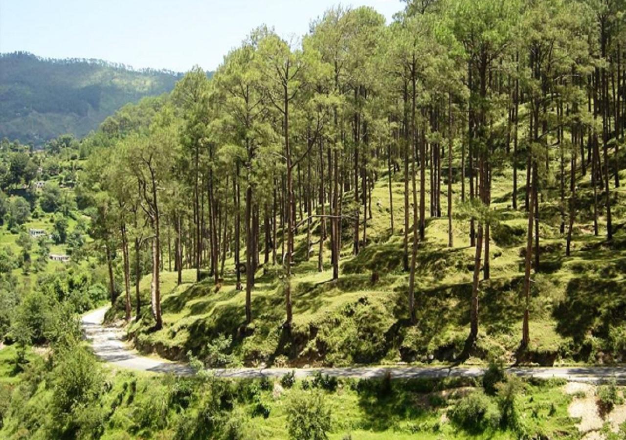 Uttarakhand Resort 코사니 외부 사진